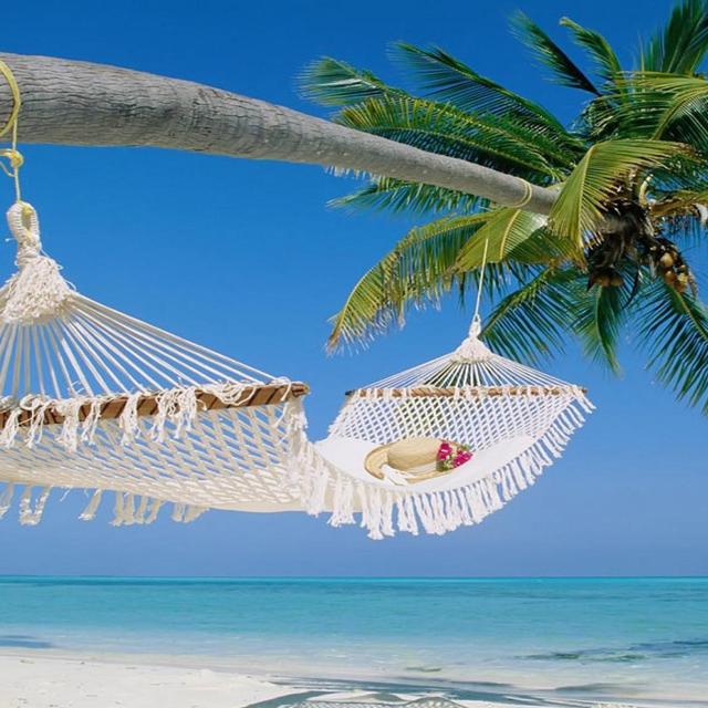 Honeymoon in Aruba