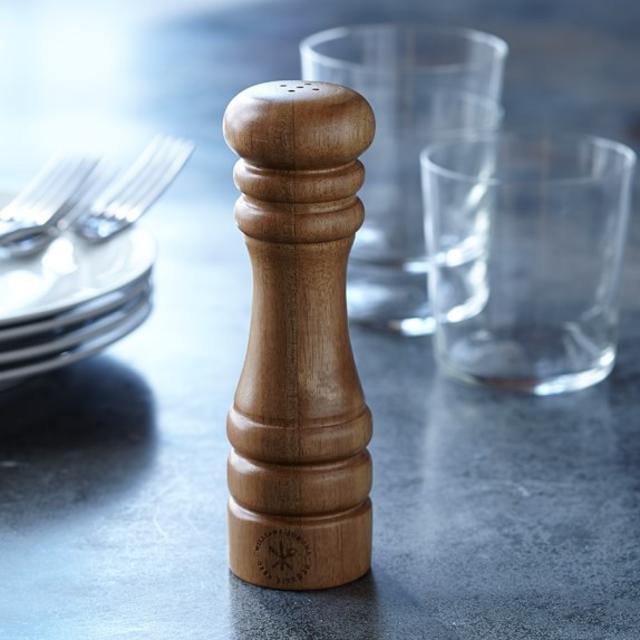 Williams-Sonoma Open Kitchen Acacia Salt Shaker