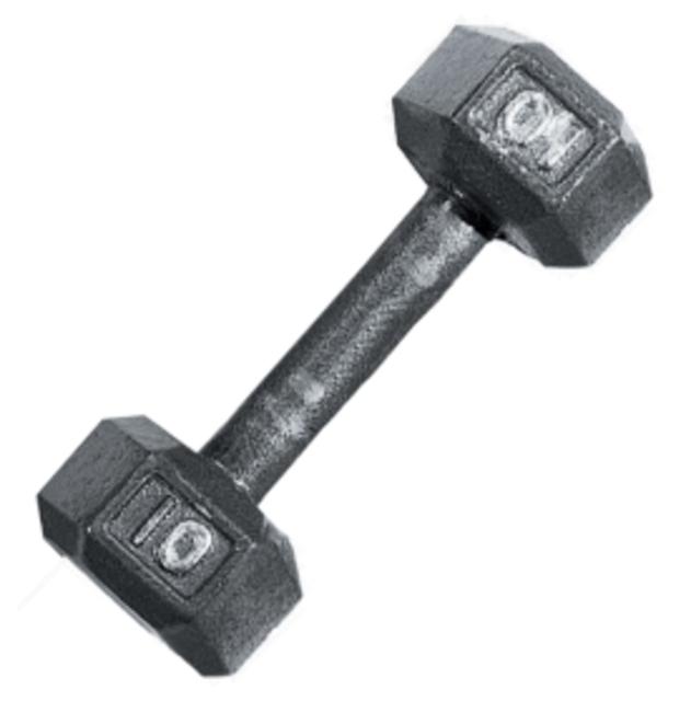 Fitness Gear 10 lb Cast Hex Dumbbell