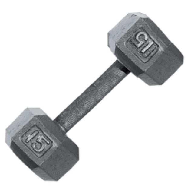 Fitness Gear 15 lb Cast Hex Dumbbell