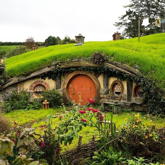 Honeymoon in New Zealand