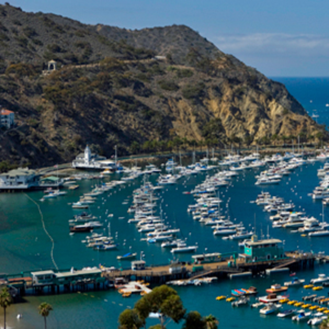 Catalina Island Adventure