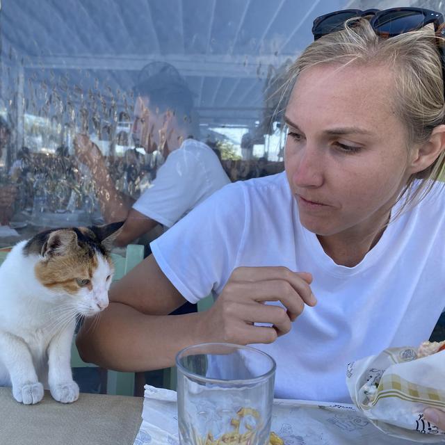 Honeymoon Dinners