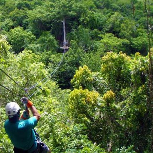 Rainforest Canopy Zipline Adventure