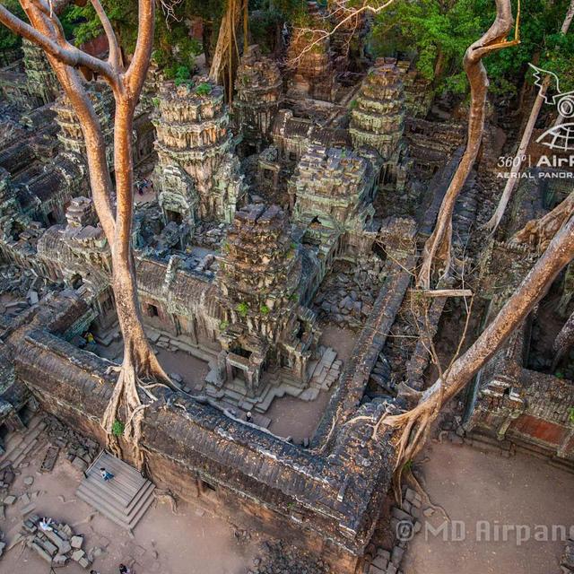 Ta Prohm Temple - Day Activity