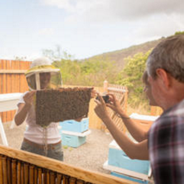 Kona Tour: Coffee Plantation, Kealakekua Bay, Kaloko-Honokohau Park and Bee Farm