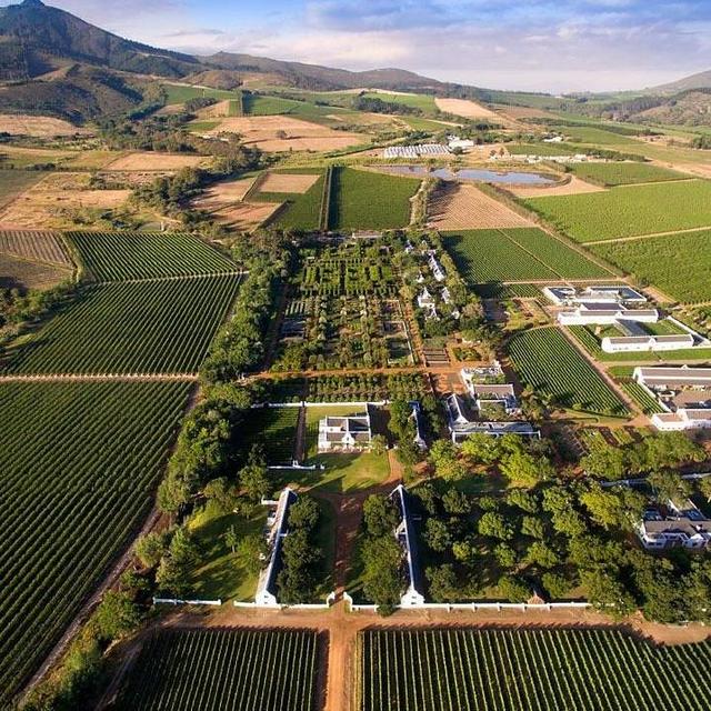 Tour and Lunch at Babylonstoren Farm
