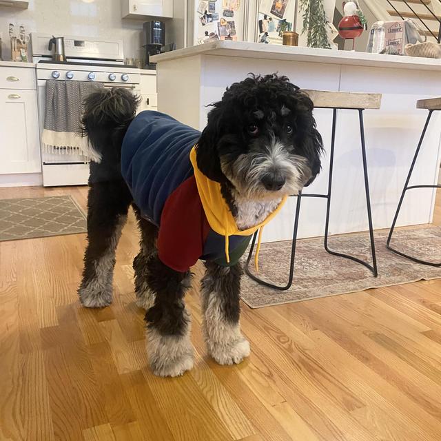 Sweet Normie’s Care while we’re at the wedding!