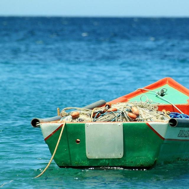 Fishing Trip
