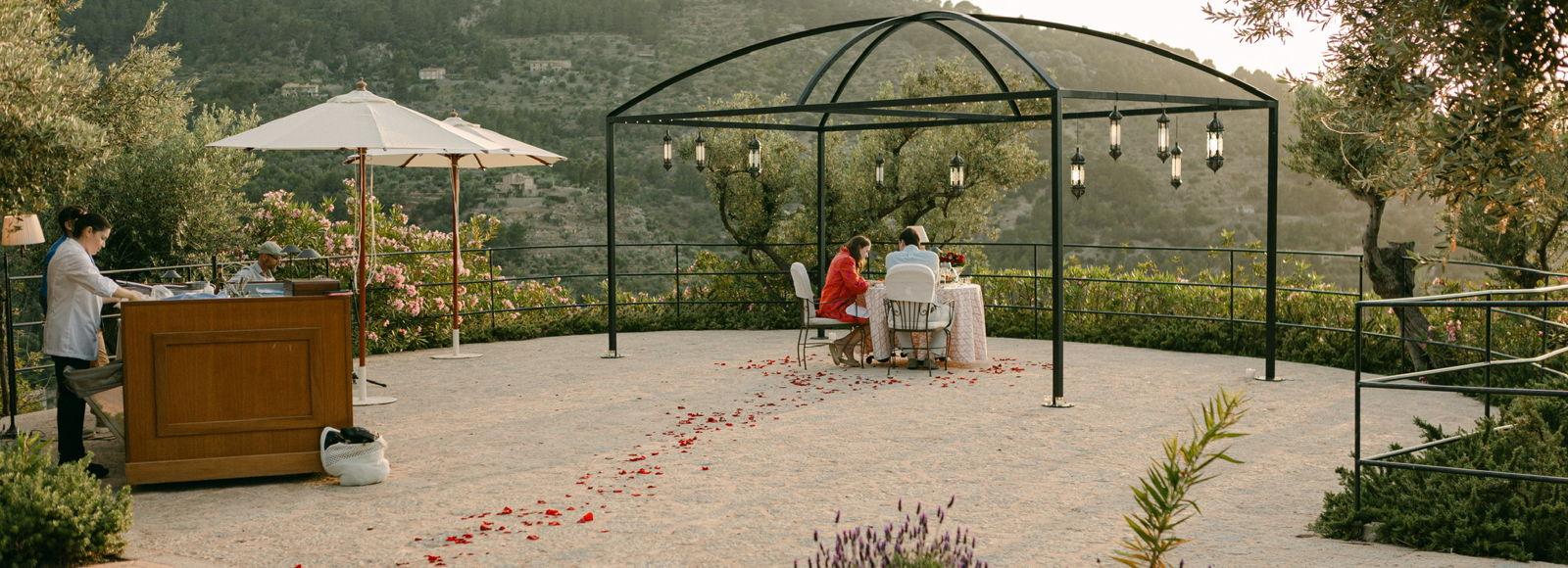 52美品！certificato di garanzia コレクション 絵 Amazon.com: Modiano Regional Piacentine 81/10 – 100% Plastic