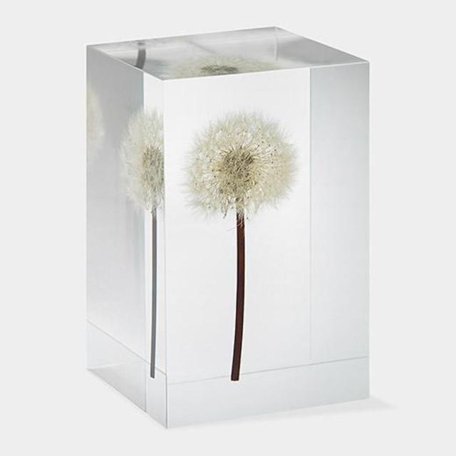 Dandelion Objet D'Art - Takao Inoue, 2009