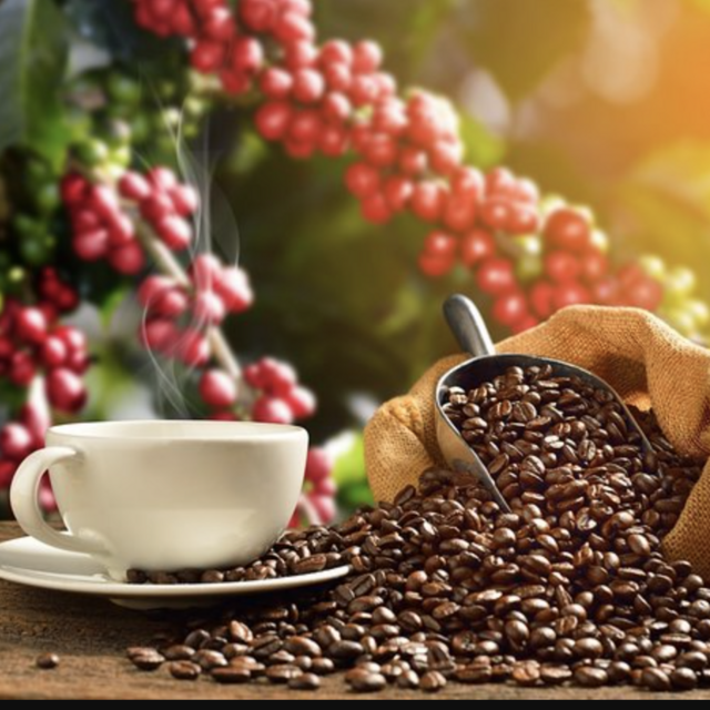 Honeymoon Seed to Cup Coffee & Brunch Tour at O'o Farm in Waipoli Maui