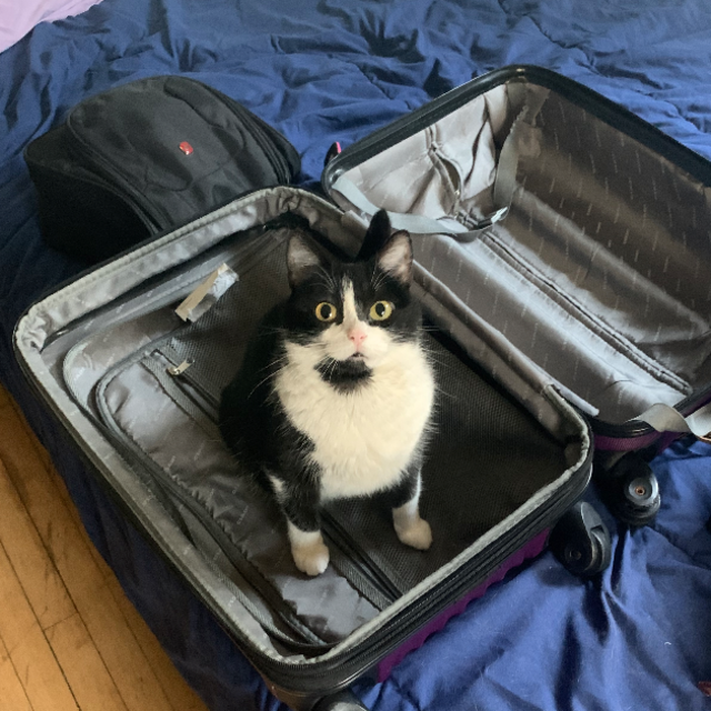 Travel Fund