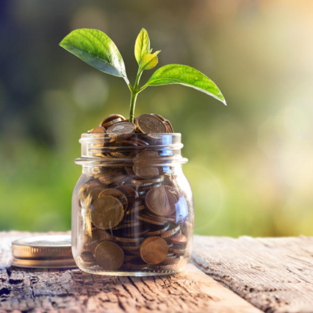 Tzedakah (Charity)