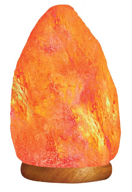 WBM LLC Himalayan Light 10.75" H Table Lamp