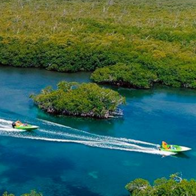 Boat Jungle Tour in the Riviera Maya