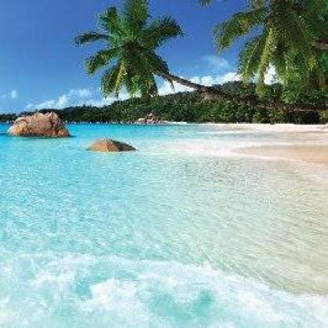 Hawaiian Honeymoon Fund