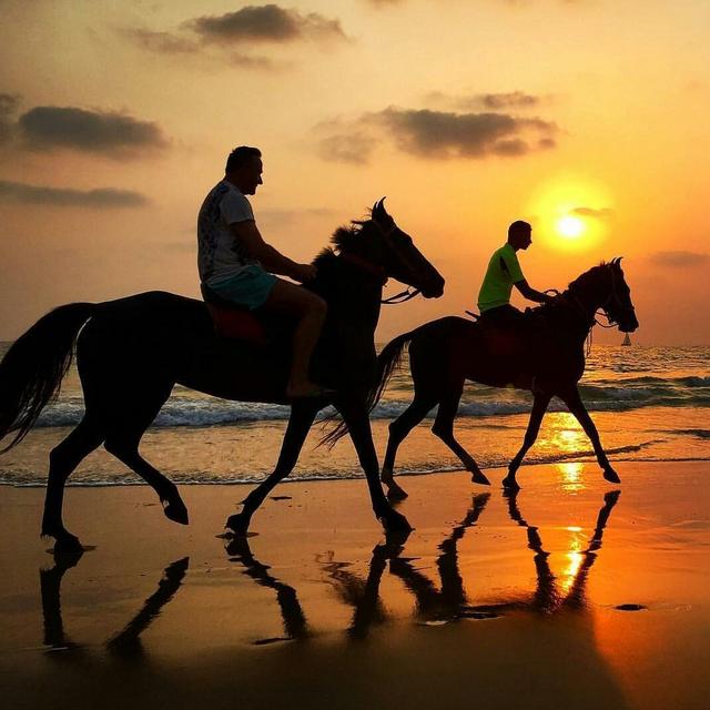 Horseback Riding