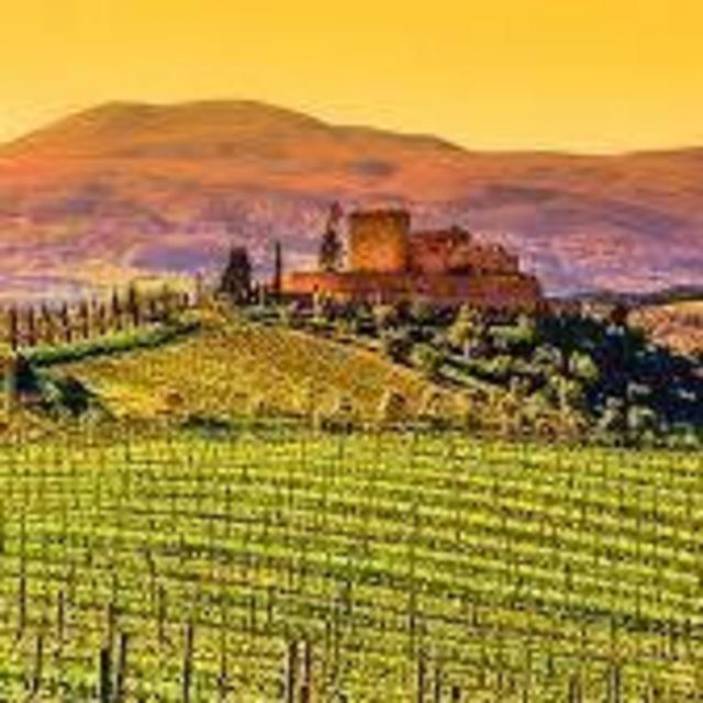 Private Vineyard Picnic