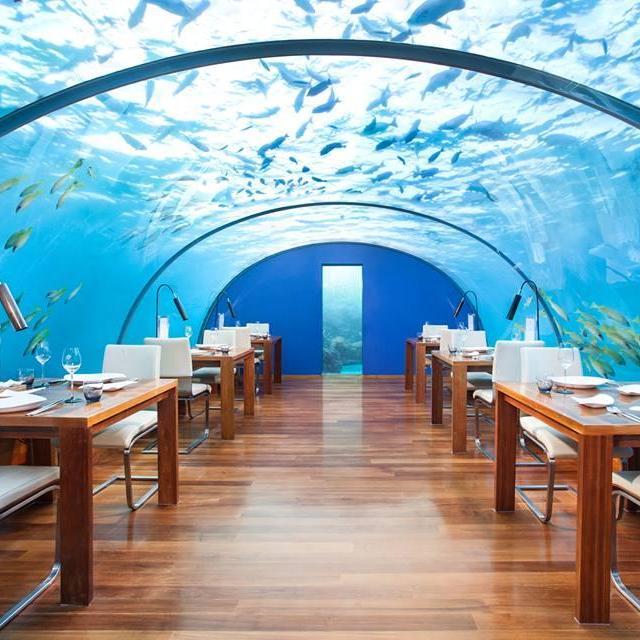 Dinner Underwater