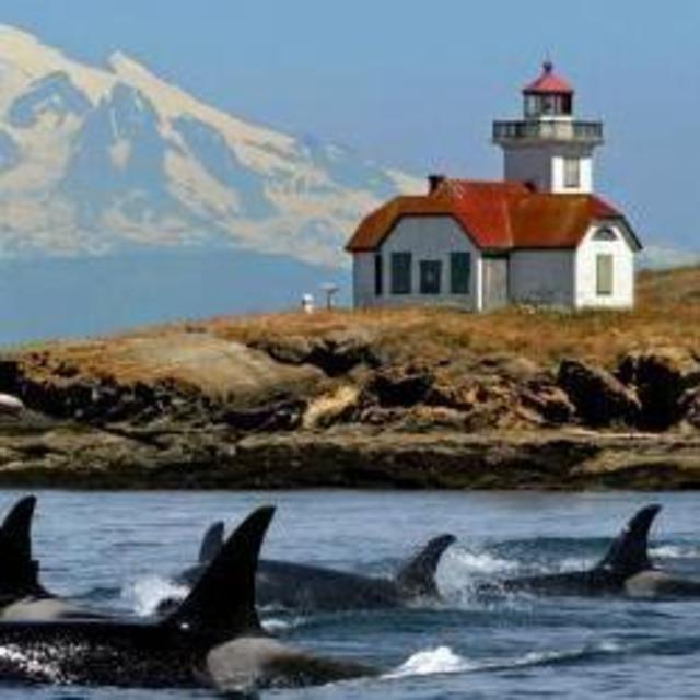 San Juan Islands Excursion