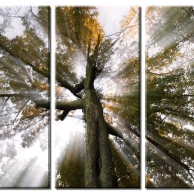 Picture Sensations Framed Huge 3-Panel Sun Tree Rays of Light Giclee Canvas Art