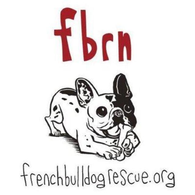 French Bulldog Rescue Network