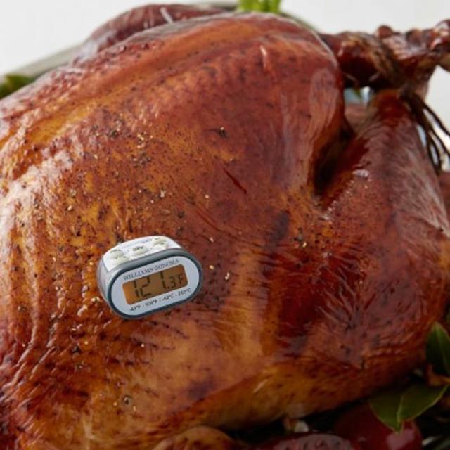 Williams Sonoma Slim Line Waterproof Digital Pocket Thermometer