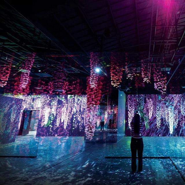 Museums, Botanical Gardens, and Aquarium in South Korea