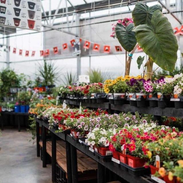 Birdsall & Co Garden Boutique Gift Card