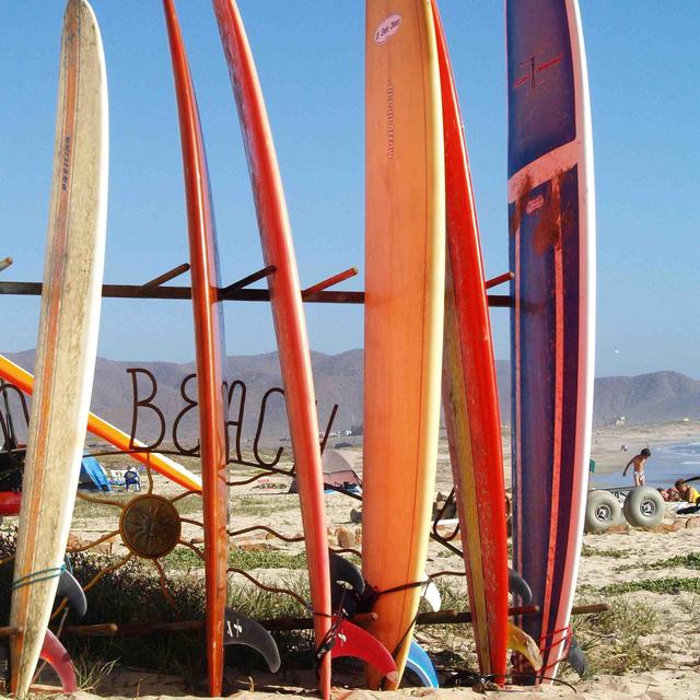 Surfboard Rentals
