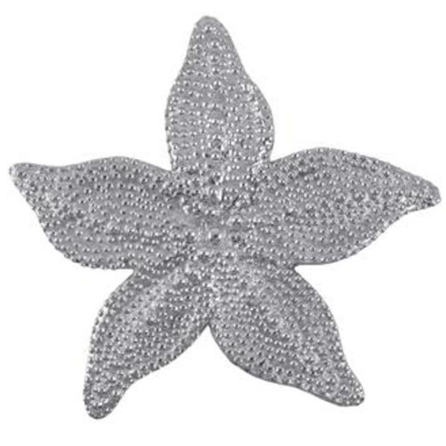 Starfish Trivet