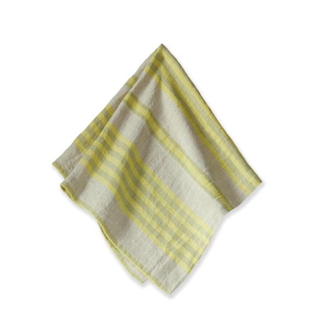 Farm Stripe Napkins, Set of 4