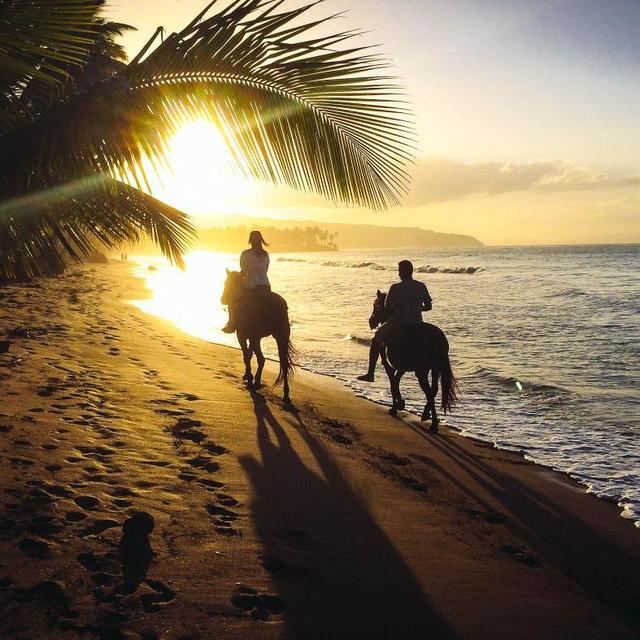 Horseback Riding
