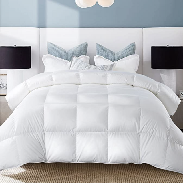 Queen Duvet Insert