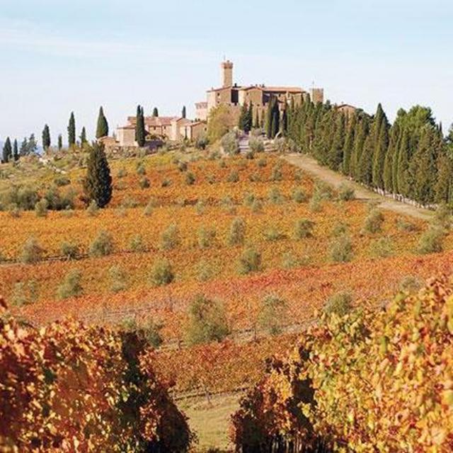 Wine Tour and Tasting in Montalcino