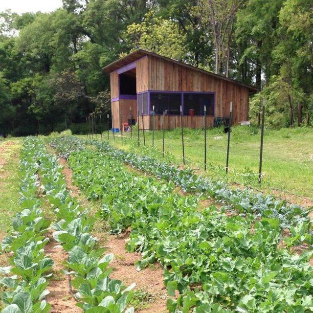 Athens Land Trust Donation Fund