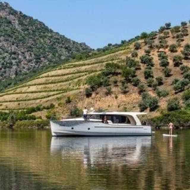 Douro Valley River Cruise & Wine Tasting (Portugal)