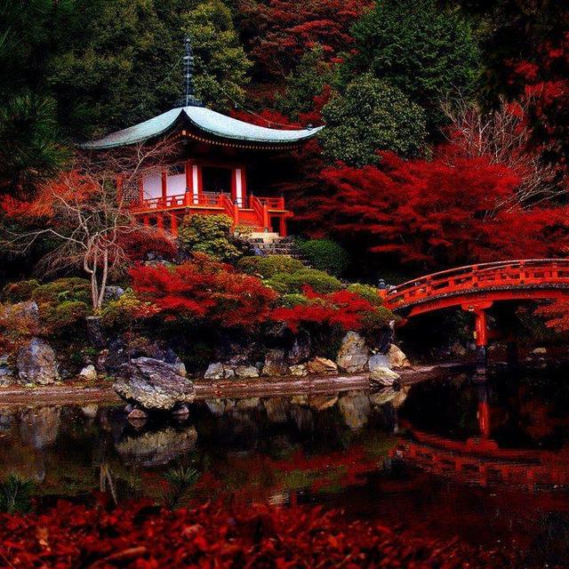 Day Trip to Kyoto