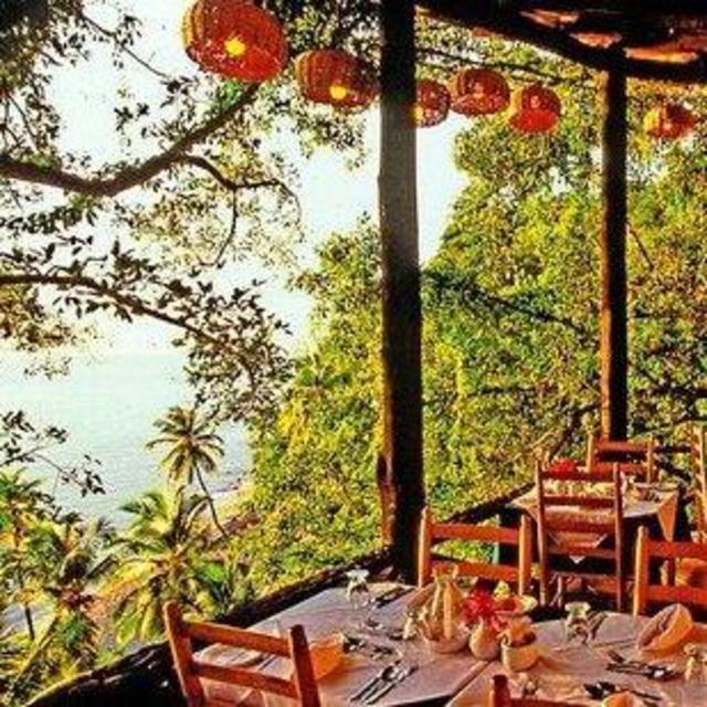 Dinner at Treehouse Restaurant Overlooking Caribbean Sea