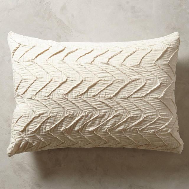 Textured Chevron Shams from Anthropologie