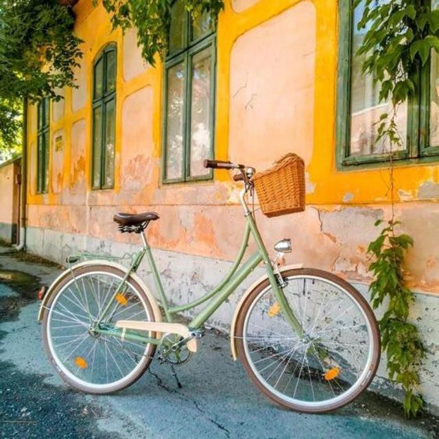 Bike Rental