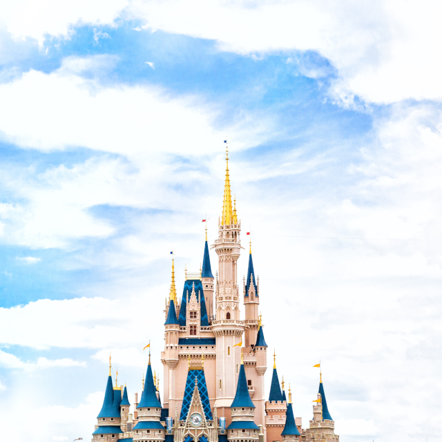 Disney World Park Tickets: Magic Kingdom