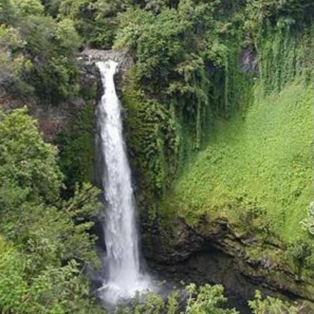 Private Jeep Jungle Tour