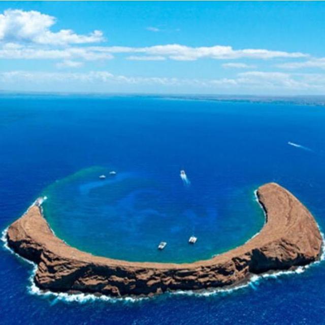 Molokini Snorkel & Turtle Town tour