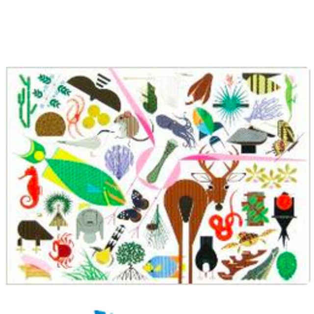 Charley Harper's Animal Kingdom