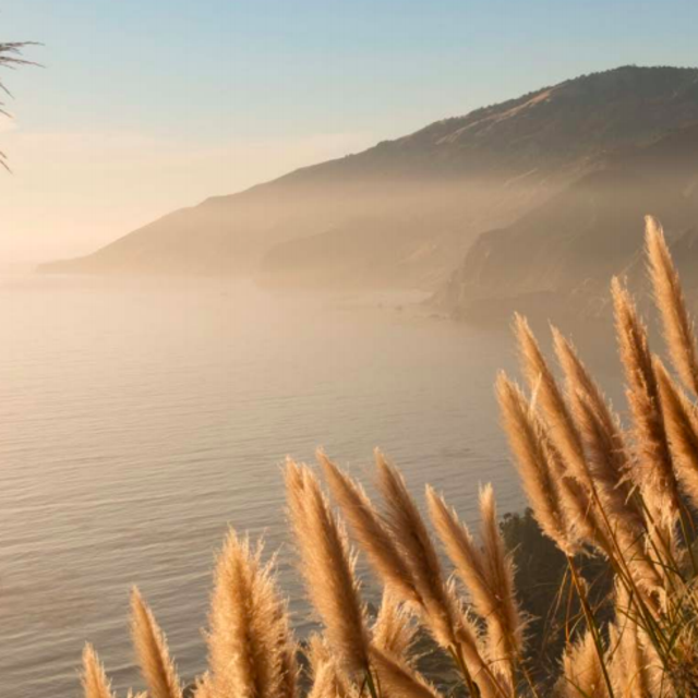 Whale Watching Hike in Big Sur