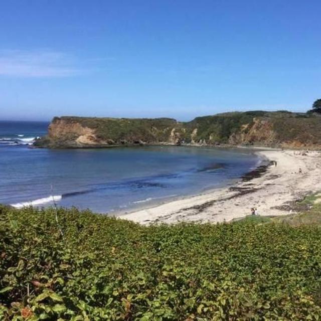 Beach Horseback Ride near Big Sur