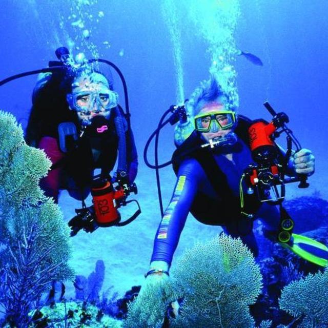 Scuba Diving in Moorea!