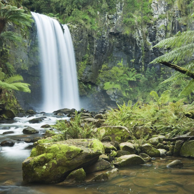 Daintree Rainforest Visit (Honeymoon)